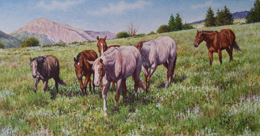 Yearlings