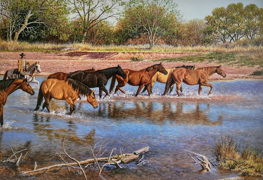 Elm Creek Crossing