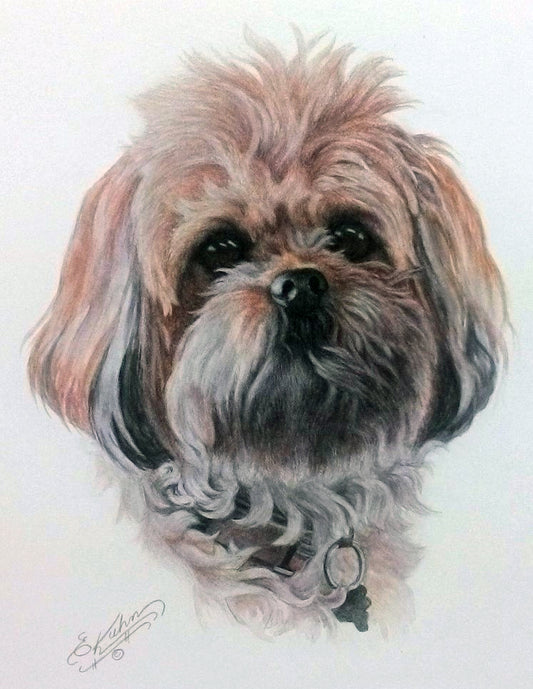 Murphie